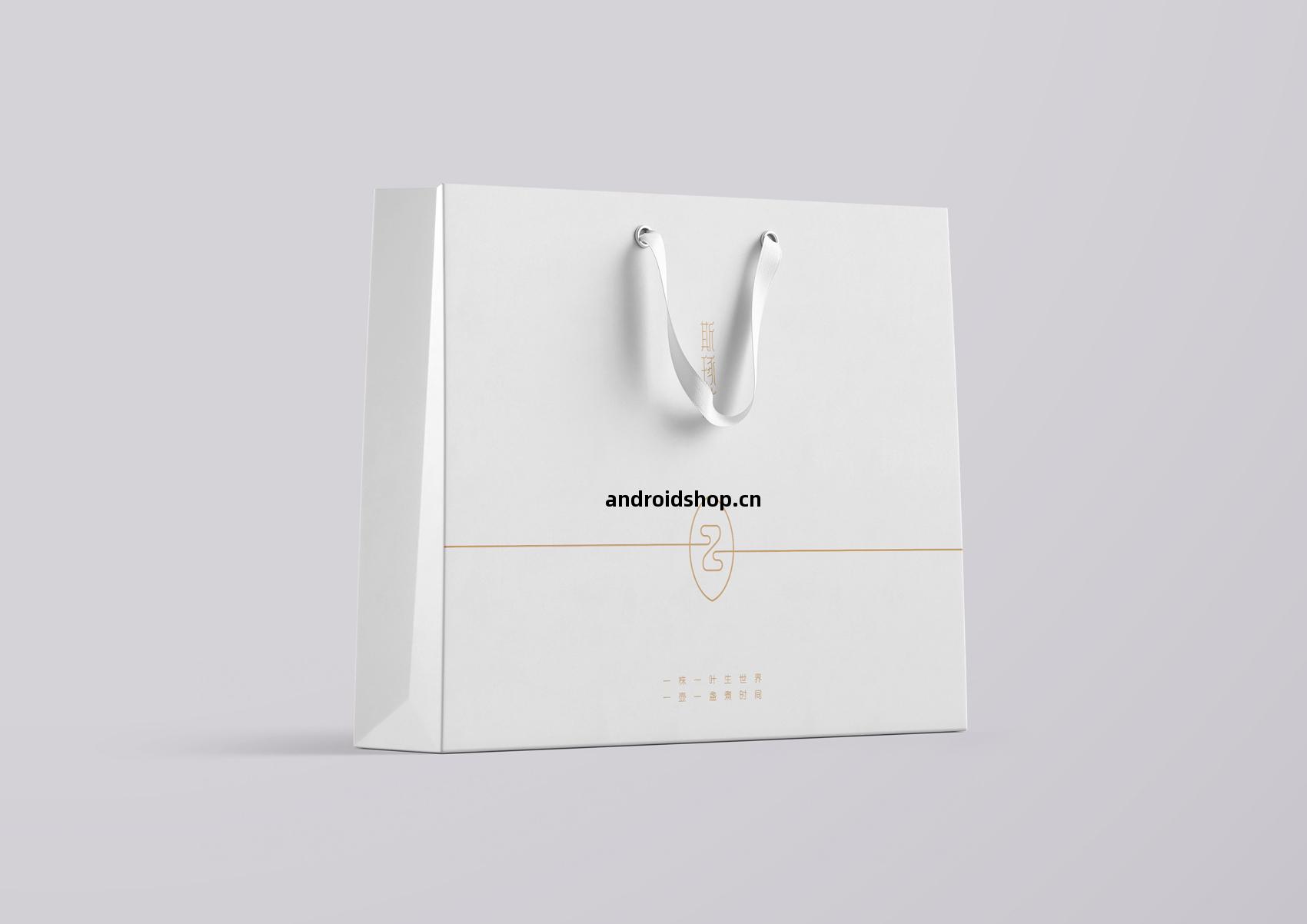 斯琢社(she)VI設計(ji)