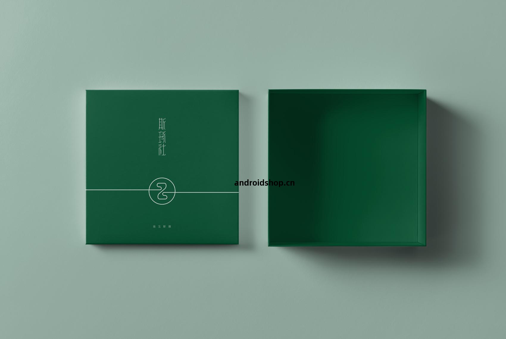 斯琢社(she)VI設計(ji)