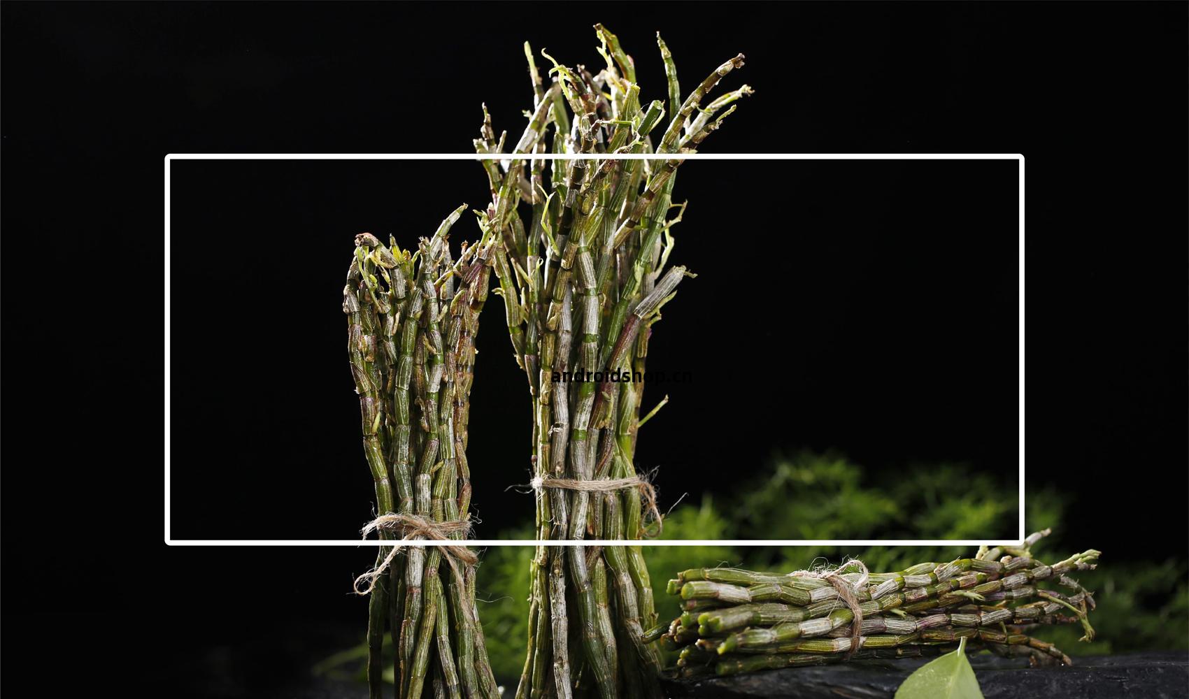 岐(qi)黃宮(gong)標(biao)誌設計