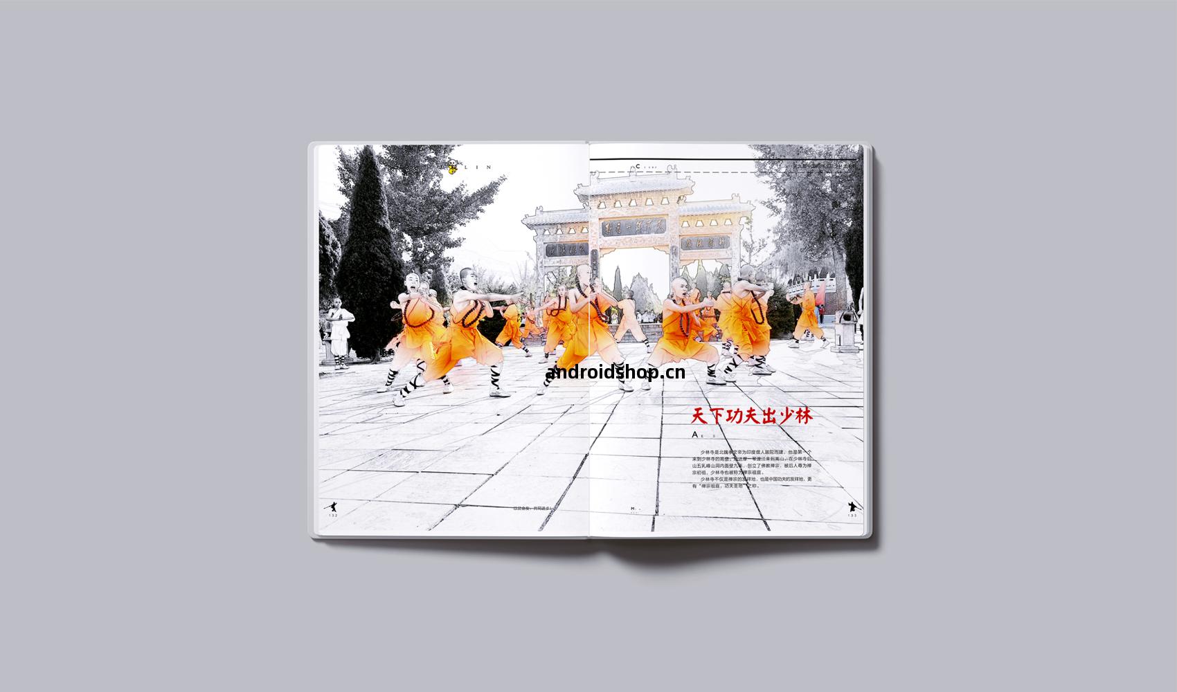 《鄭州(zhou)國際少林(lin)武術節》畫冊設計(ji)