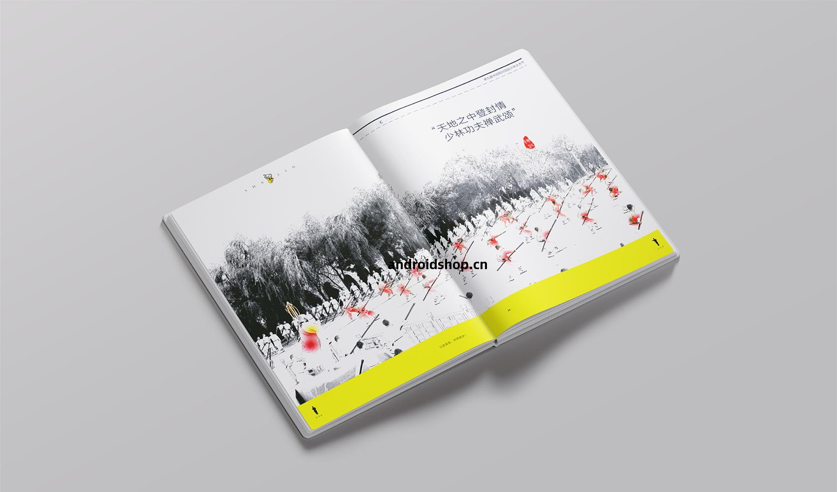 《鄭州(zhou)國際少林(lin)武術節》畫冊設計(ji)