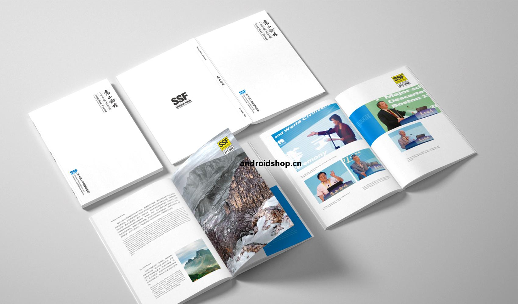 《嵩(song)山(shan)論(lun)壇》畫冊(ce)設(she)計(ji)