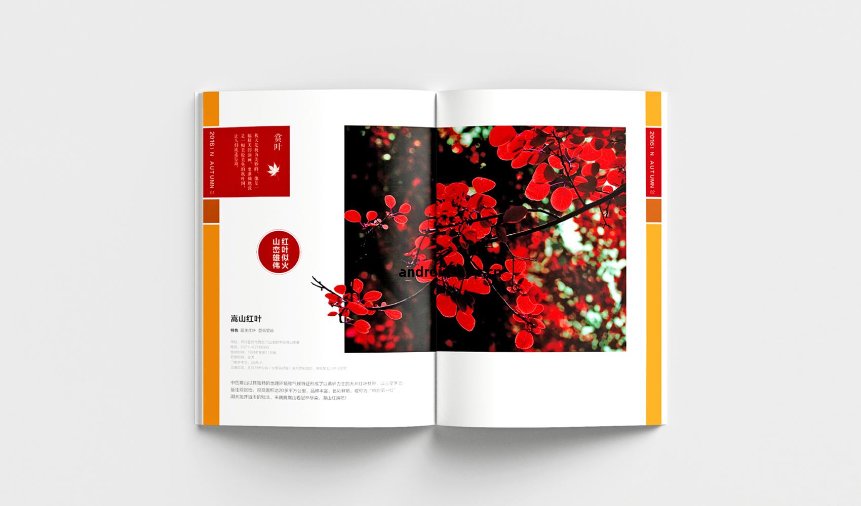 鄭(zheng)州四季(ji)旅遊(you)畫(hua)冊(ce)設(she)計