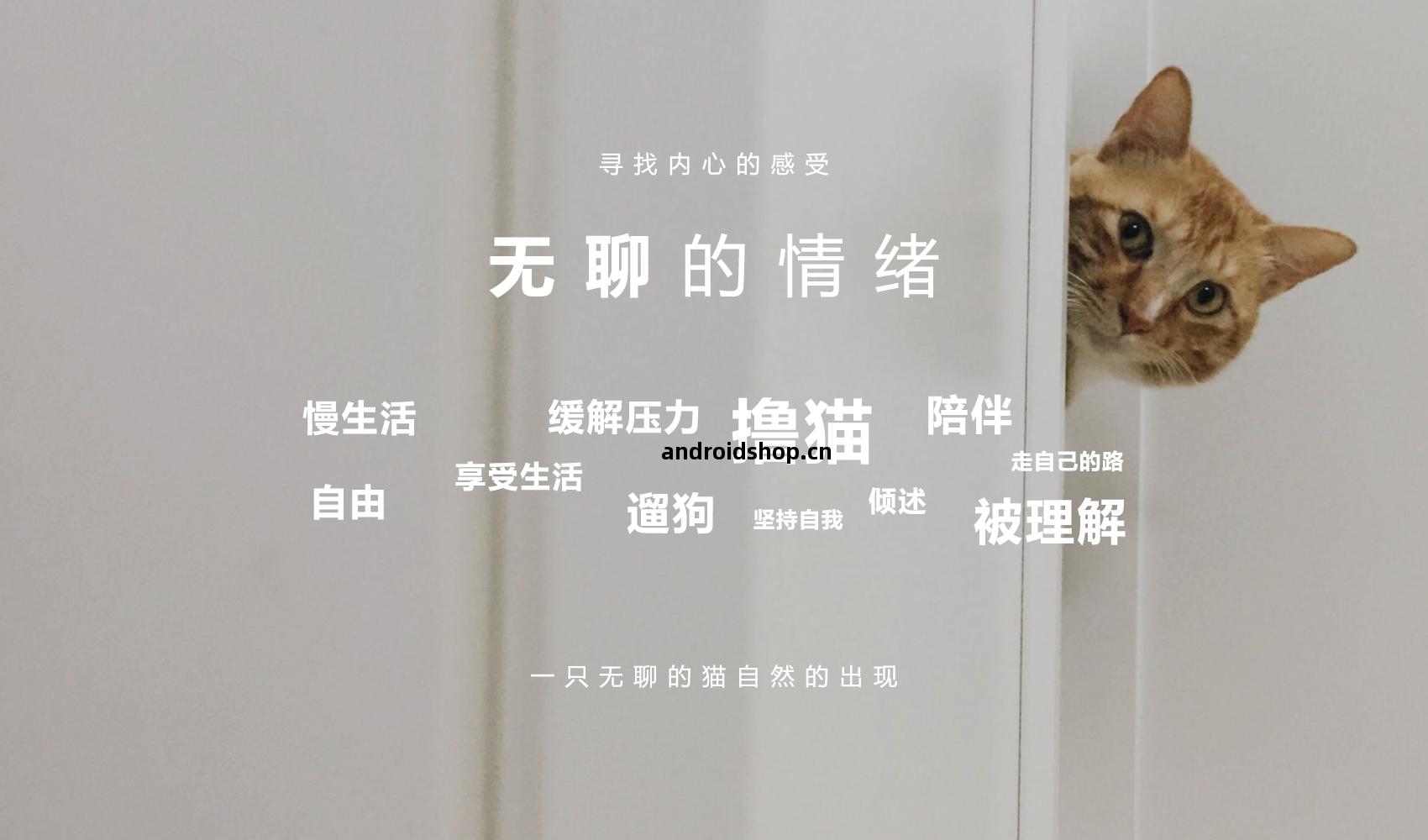 無(wu)聊(liao)貓品牌(pai)全(quan)案設(she)計