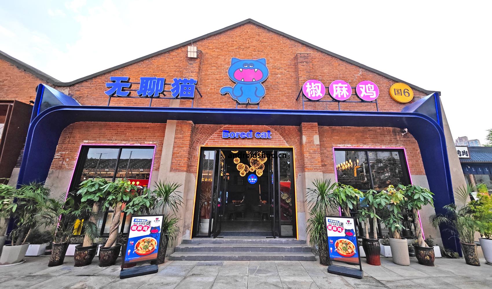 無(wu)聊(liao)貓品牌(pai)全(quan)案設(she)計