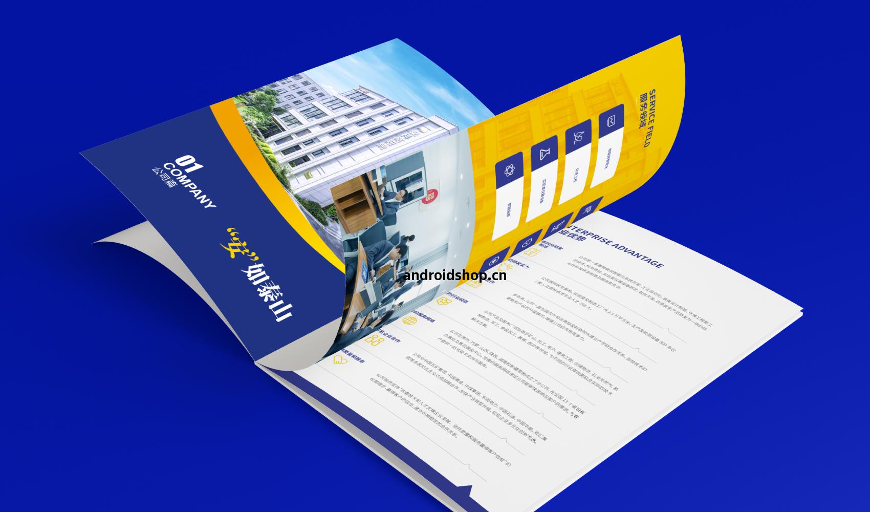 《安如(ru)泰(tai)山(shan)·大有(you)科為》畫冊(ce)設(she)計